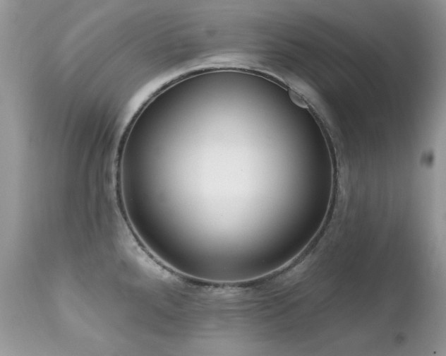 X0000112461288200908171153