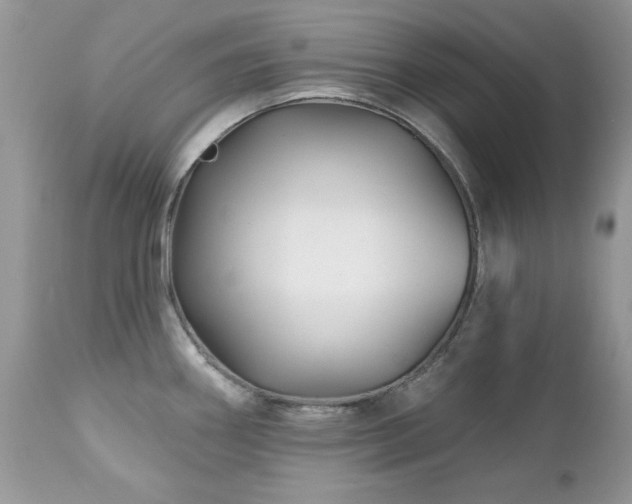 X0000112461290200908171153