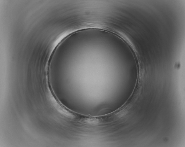 X0000112461291200908171153