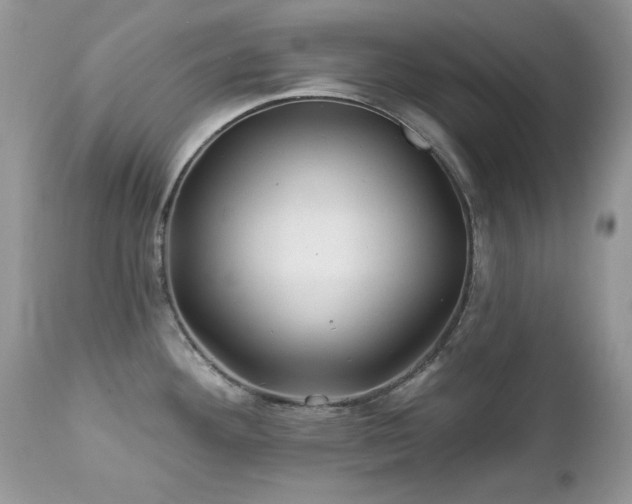 X0000112461292200908171153