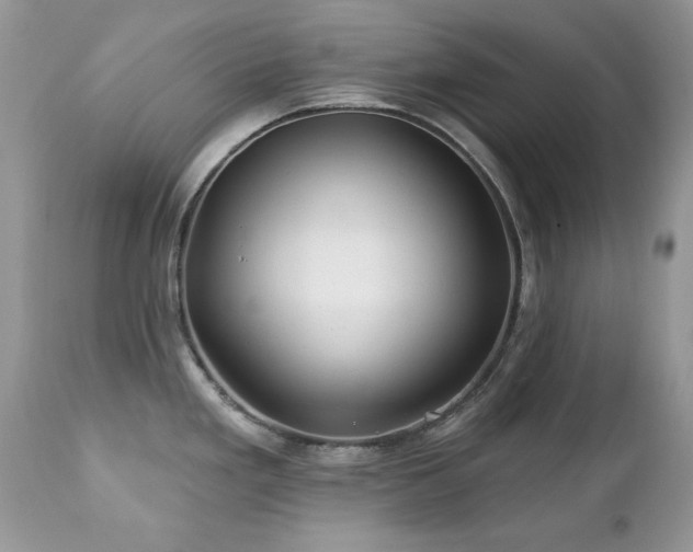 X0000112461293200908171153