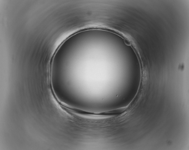 X0000112461295200908171153