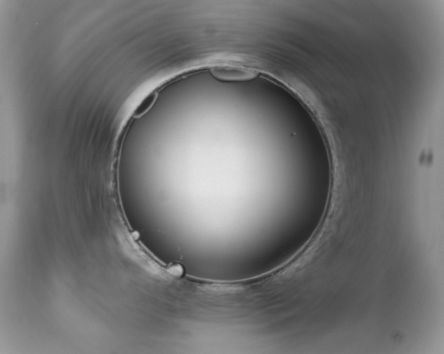X0000112461296200908171153