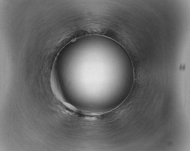 X0000112461297200908171153