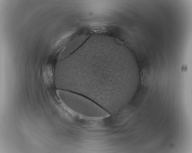 X0000112461298200908171153