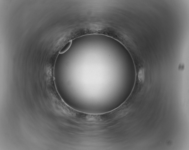 X0000112461299200908171153