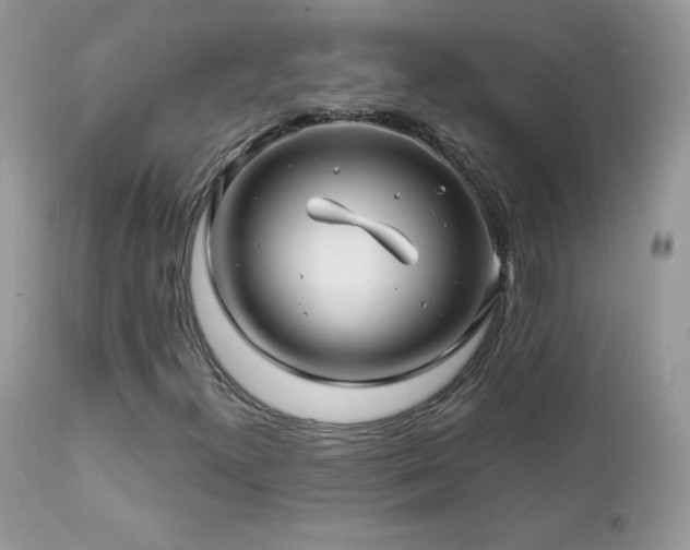 X0000112461300200908171153