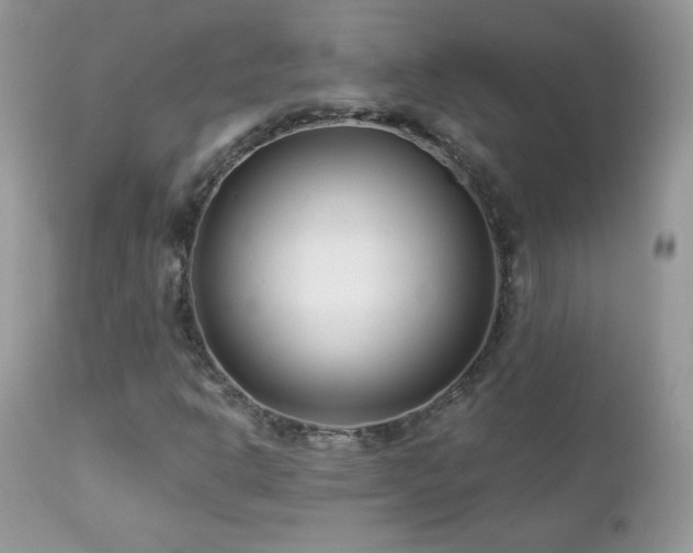X0000112461302200908171153