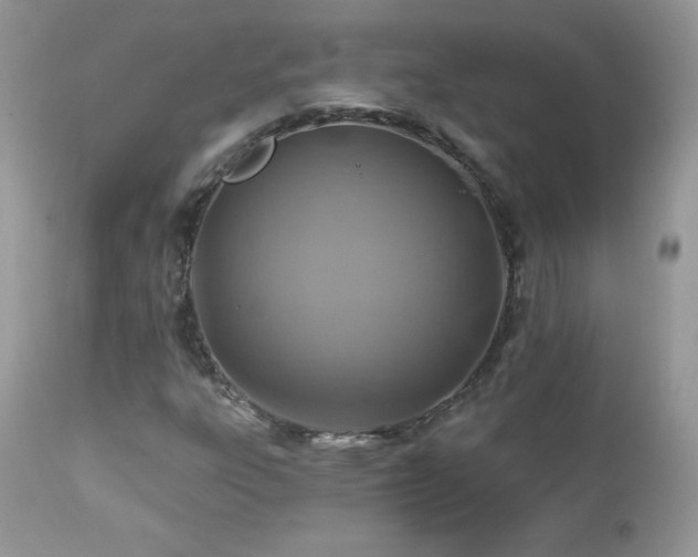 X0000112461303200908171153