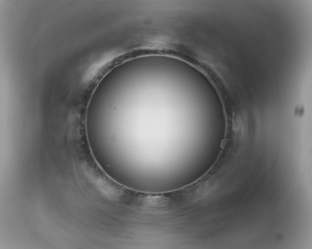 X0000112461304200908171153