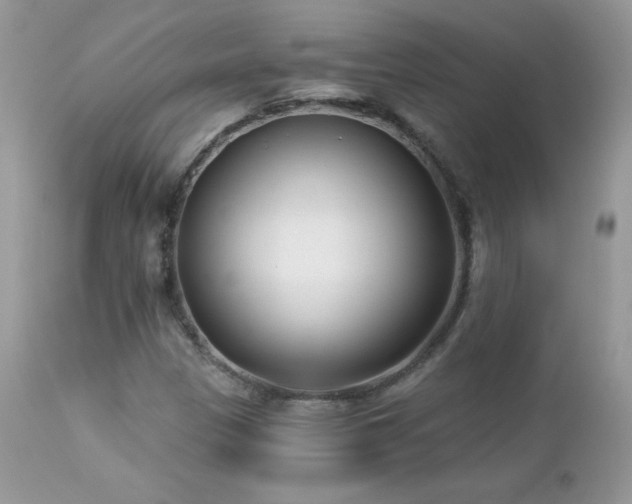 X0000112461305200908171153