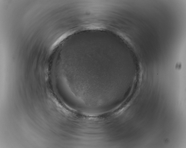 X0000112461306200908171153
