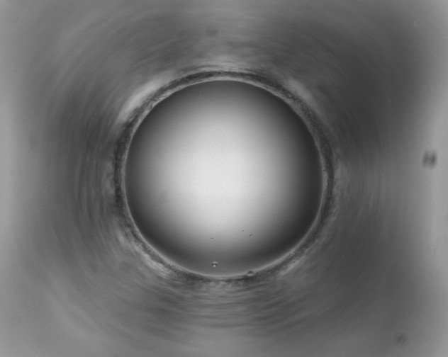 X0000112461307200908171153