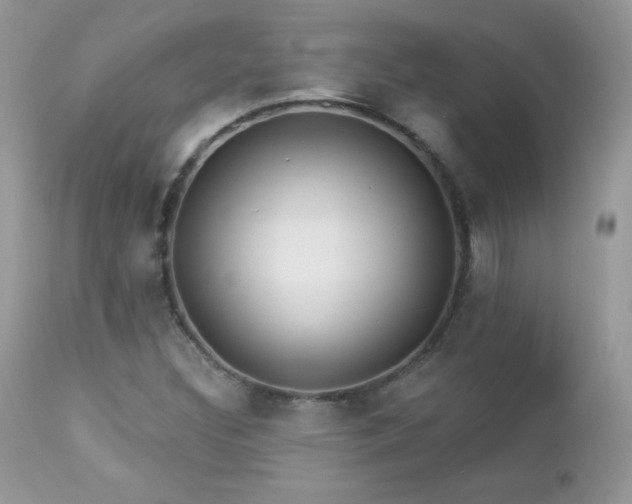 X0000112461308200908171153