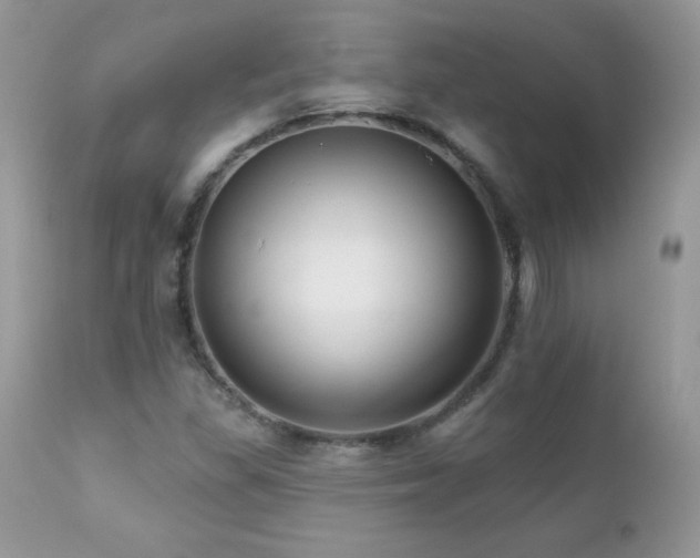 X0000112461309200908171153