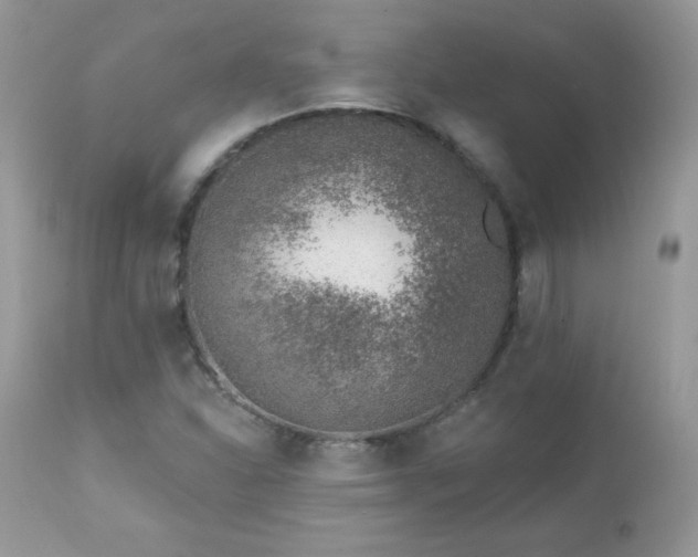 X0000112461310200908171153