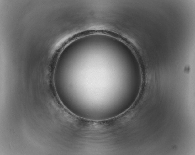 X0000112461311200908171153