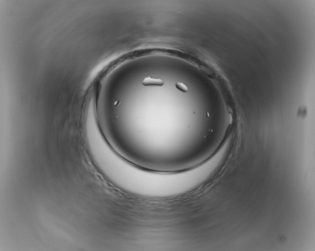 X0000112461312200908171153