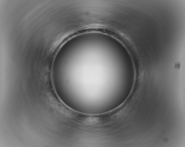 X0000112461313200908171153