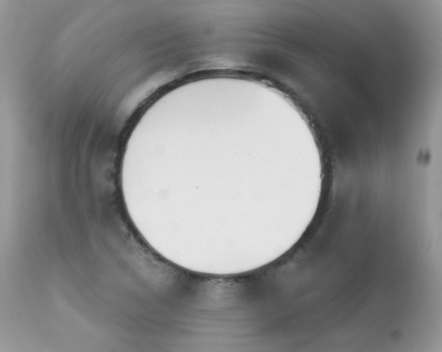 X0000112461314200908171153