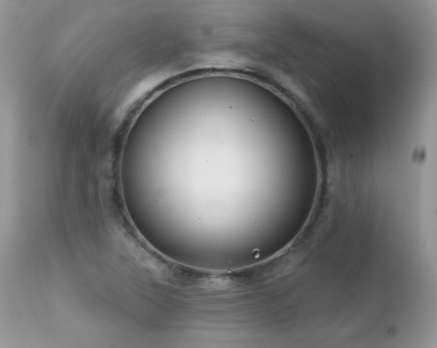 X0000112461315200908171153