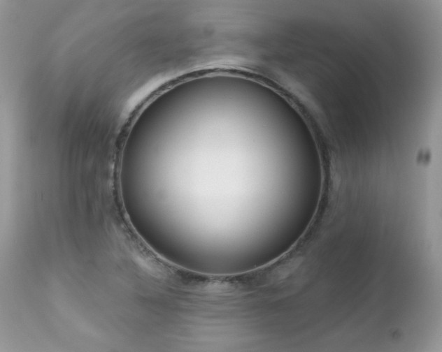X0000112461316200908171153