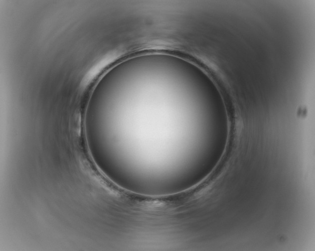 X0000112461317200908171153