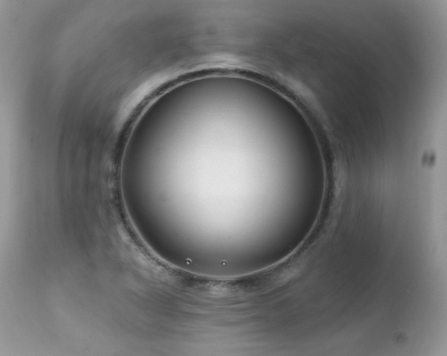 X0000112461318200908171153