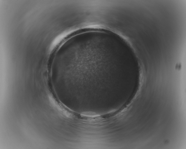 X0000112461319200908171153