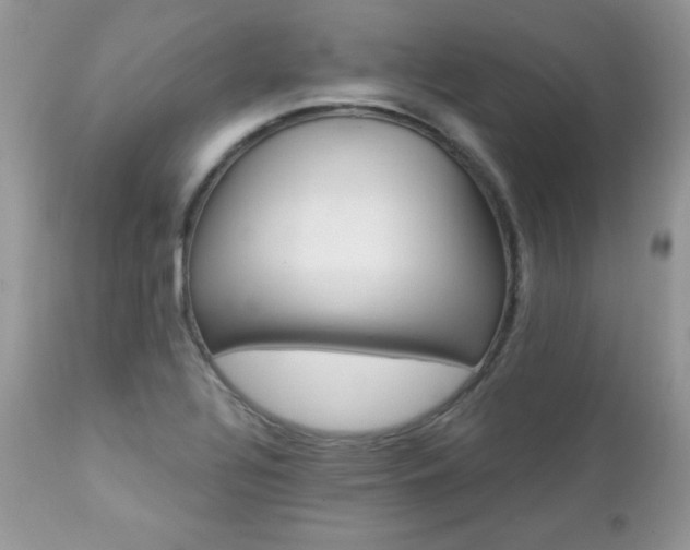 X0000112461320200908171153