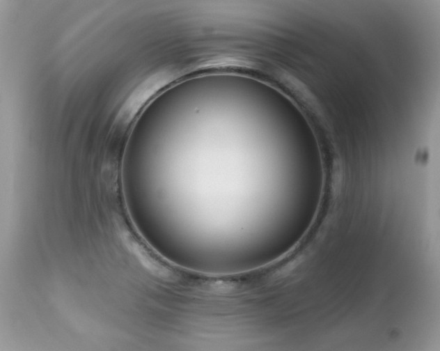 X0000112461321200908171153