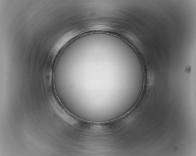 X0000112461322200908171153