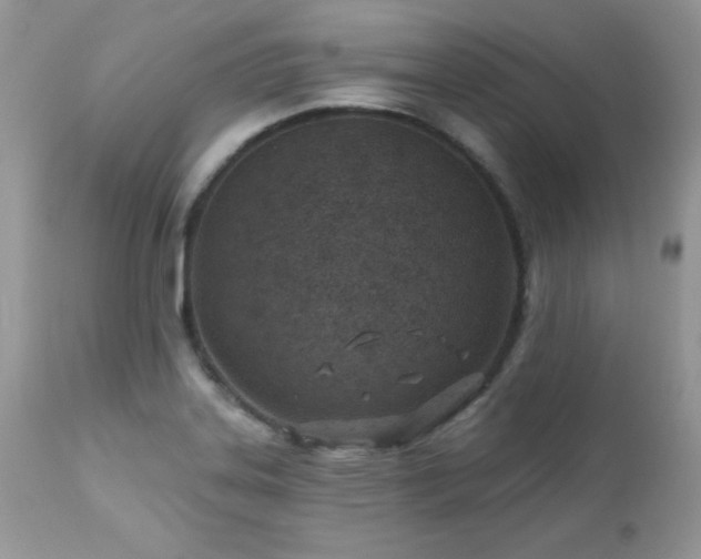 X0000112461323200908171153