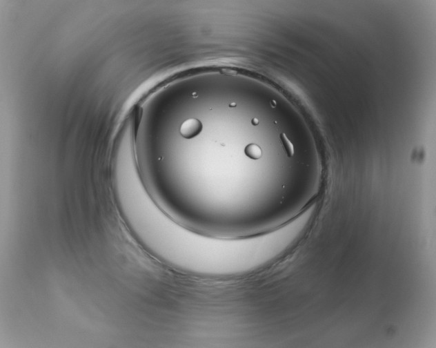X0000112461324200908171153