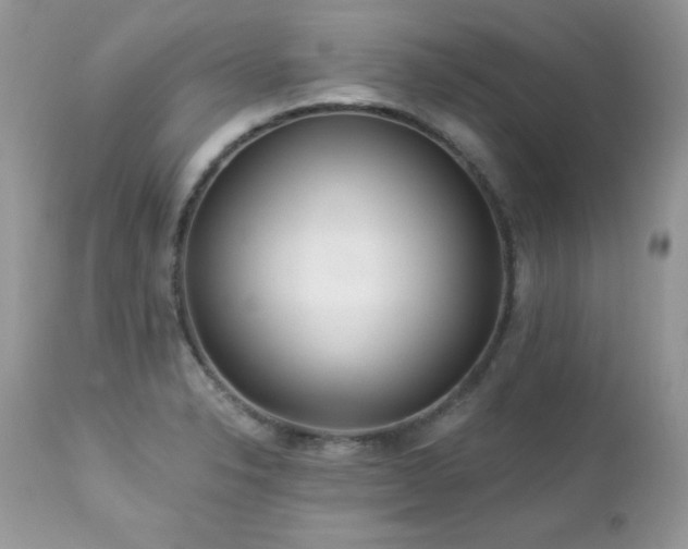 X0000112461326200908171153