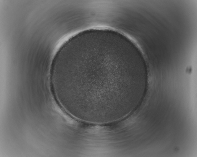 X0000112461327200908171153