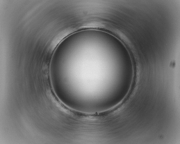 X0000112461329200908171153