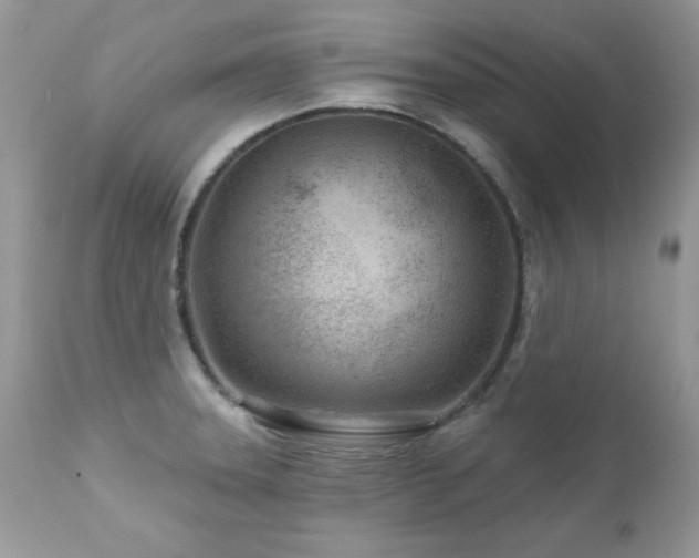 X0000112461331200908171153