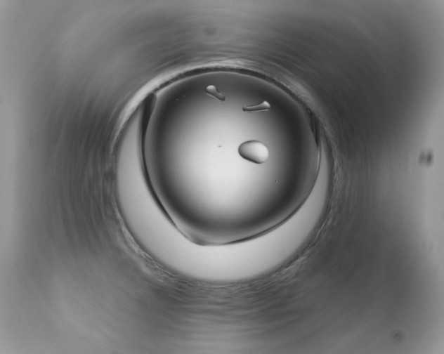 X0000112461332200908171153