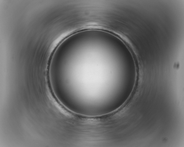 X0000112461333200908171153