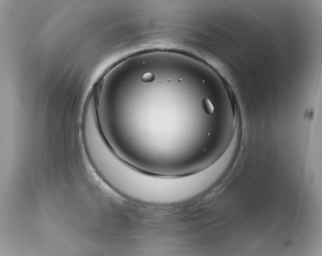 X0000112461334200908171153