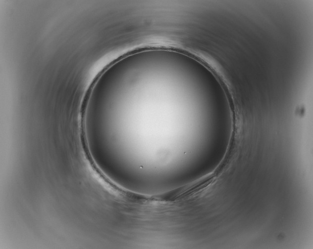 X0000112461335200908171153