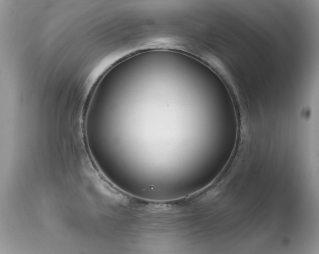 X0000112461336200908171153