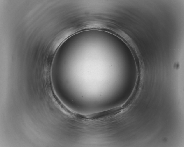 X0000112461337200908171153