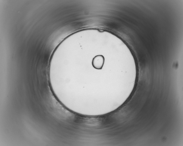 X0000112461338200908171153
