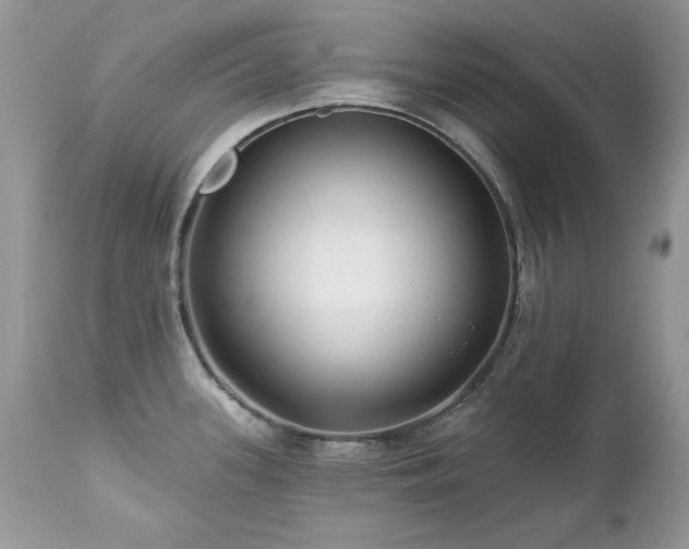 X0000112461339200908171153