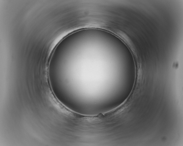 X0000112461340200908171153