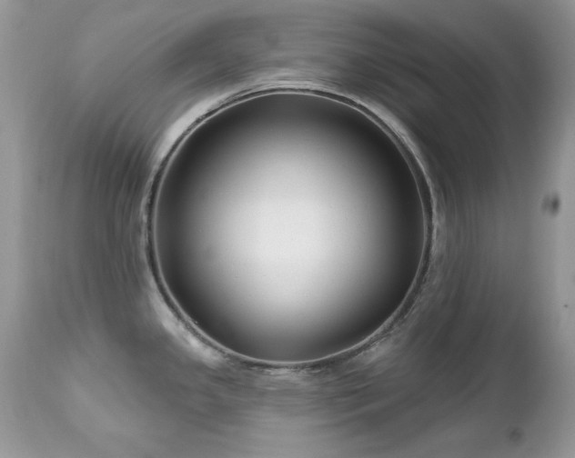 X0000112461341200908171153