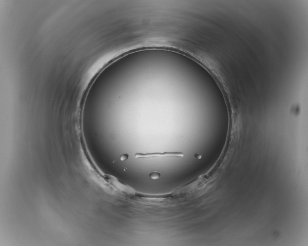 X0000112461342200908171153