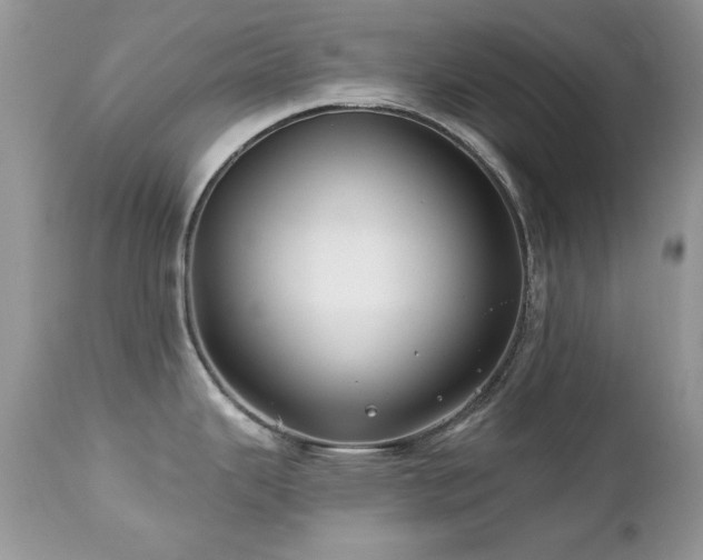 X0000112461343200908171153